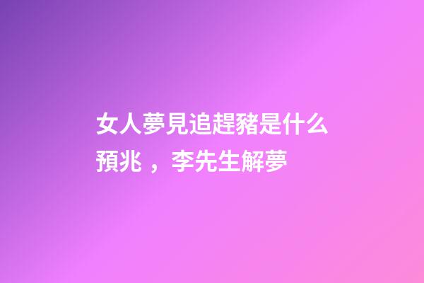 女人夢見追趕豬是什么預兆，李先生解夢